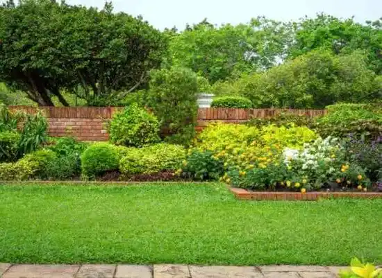 landscaping services Minerva Park